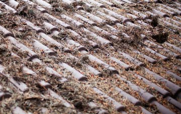 Whirlow roof cleaning companies